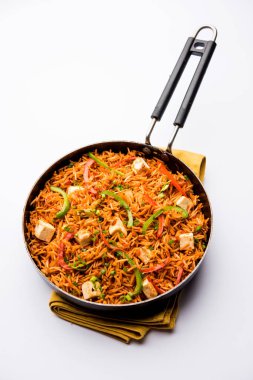 Schezwan paneer kızarmış pilav Szechuan sos ve peynir küpleri ile. bir kase ya da plaka veya tava servis. seçici odak