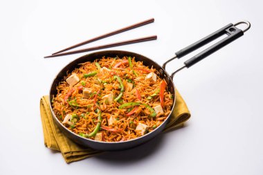 Schezwan paneer kızarmış pilav Szechuan sos ve peynir küpleri ile. bir kase ya da plaka veya tava servis. seçici odak