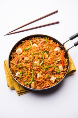 Schezwan paneer kızarmış pilav Szechuan sos ve peynir küpleri ile. bir kase ya da plaka veya tava servis. seçici odak