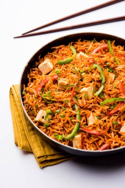 Schezwan paneer kızarmış pilav Szechuan sos ve peynir küpleri ile. bir kase ya da plaka veya tava servis. seçici odak