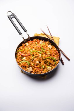 Schezwan paneer kızarmış pilav Szechuan sos ve peynir küpleri ile. bir kase ya da plaka veya tava servis. seçici odak