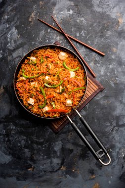 Schezwan paneer kızarmış pilav Szechuan sos ve peynir küpleri ile. bir kase ya da plaka veya tava servis. seçici odak