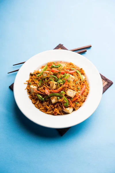 Schezwan paneer kızarmış pilav Szechuan sos ve peynir küpleri ile. bir kase ya da plaka veya tava servis. seçici odak