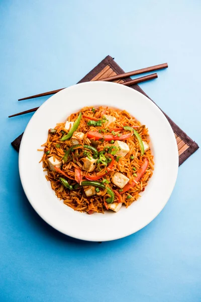 Schezwan paneer kızarmış pilav Szechuan sos ve peynir küpleri ile. bir kase ya da plaka veya tava servis. seçici odak