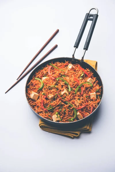 Schezwan paneer kızarmış pilav Szechuan sos ve peynir küpleri ile. bir kase ya da plaka veya tava servis. seçici odak