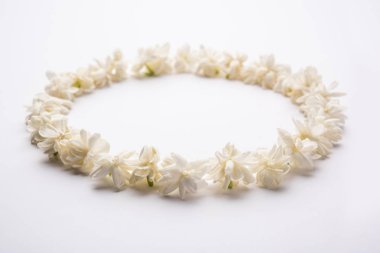 Jasminum Sambac veya Mogra çiçek beyaz arka plan üzerinde dairesel veya dikdörtgen çerçeve şeklinde düzenlenmiş, seçici odak