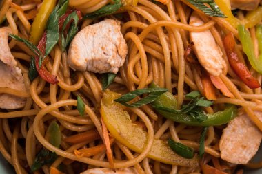 Tavuk Hakka / Schezwan erişte yemek çubukları ile bir kase içinde servis edilir. seçici odaklama