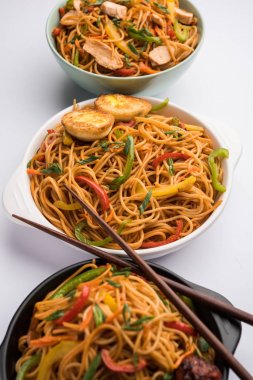 Mançurya Hakka / Schezwan erişte tavuk ve yumurta ile, popüler indochinese gıda bir kase servis edilir. seçici odaklama