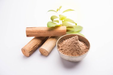 Sopa ve yeşil yaprakları ile Chandan veya sandal ağacı tozu