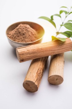 Sopa ve yeşil yaprakları ile Chandan veya sandal ağacı tozu