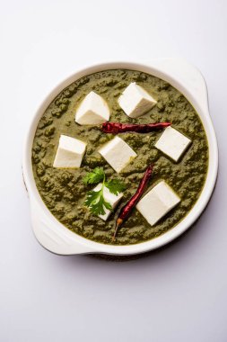 Palak Paneer Curry ıspanak ve süzme peynir bir kase servis oluşur. seçici odaklama