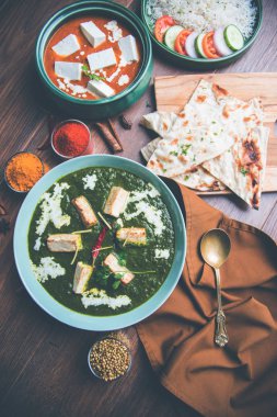 Palak Paneer ve Paneer-tereyağı masala öğle yemeği için popüler bir Kuzey Hint tarifi / akşam yemeği ana ingradient olarak süzme peynir kullanılarak yapılan. genellikle Rice ve chapati / naan ile servis edilir. seçici odaklama