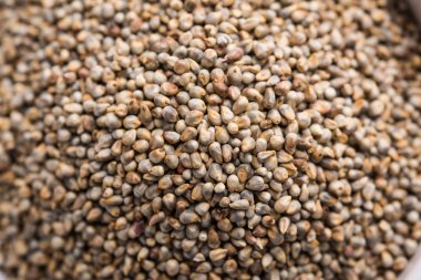Pearl millet veya Bajra tohumları da sorgum olarak bilinen, bir kase, seçici odak