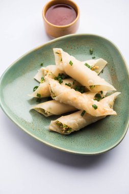 Paneer biber puro herhangi bir parti için ilginç bir başlangıç olan paneer ile doldurulmuş gevrek rulo vardır. domates ketçap ile servis edilir. seçici odaklama