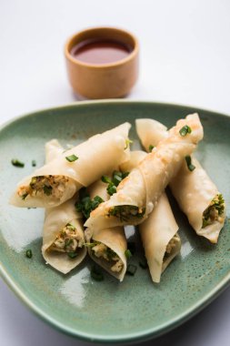 Paneer biber puro herhangi bir parti için ilginç bir başlangıç olan paneer ile doldurulmuş gevrek rulo vardır. domates ketçap ile servis edilir. seçici odaklama