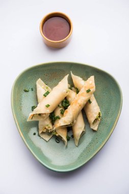 Paneer biber puro herhangi bir parti için ilginç bir başlangıç olan paneer ile doldurulmuş gevrek rulo vardır. domates ketçap ile servis edilir. seçici odaklama