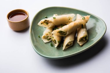 Paneer biber puro herhangi bir parti için ilginç bir başlangıç olan paneer ile doldurulmuş gevrek rulo vardır. domates ketçap ile servis edilir. seçici odaklama