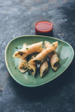 Paneer biber puro herhangi bir parti için ilginç bir başlangıç olan paneer ile doldurulmuş gevrek rulo vardır. domates ketçap ile servis edilir. seçici odaklama