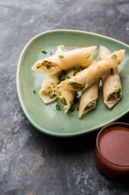 Paneer biber puro herhangi bir parti için ilginç bir başlangıç olan paneer ile doldurulmuş gevrek rulo vardır. domates ketçap ile servis edilir. seçici odaklama