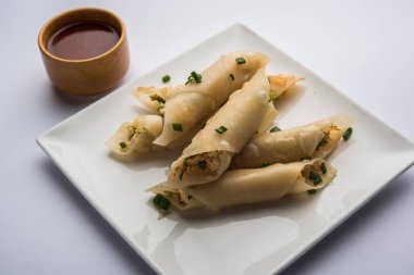 Paneer biber puro herhangi bir parti için ilginç bir başlangıç olan paneer ile doldurulmuş gevrek rulo vardır. domates ketçap ile servis edilir. seçici odaklama