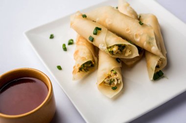 Paneer biber puro herhangi bir parti için ilginç bir başlangıç olan paneer ile doldurulmuş gevrek rulo vardır. domates ketçap ile servis edilir. seçici odaklama