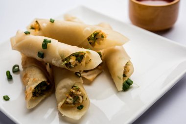 Paneer biber puro herhangi bir parti için ilginç bir başlangıç olan paneer ile doldurulmuş gevrek rulo vardır. domates ketçap ile servis edilir. seçici odaklama