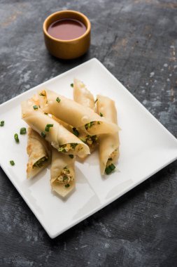 Paneer biber puro herhangi bir parti için ilginç bir başlangıç olan paneer ile doldurulmuş gevrek rulo vardır. domates ketçap ile servis edilir. seçici odaklama