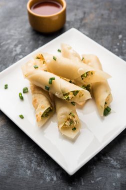 Paneer biber puro herhangi bir parti için ilginç bir başlangıç olan paneer ile doldurulmuş gevrek rulo vardır. domates ketçap ile servis edilir. seçici odaklama