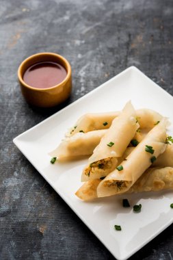 Paneer biber puro herhangi bir parti için ilginç bir başlangıç olan paneer ile doldurulmuş gevrek rulo vardır. domates ketçap ile servis edilir. seçici odaklama