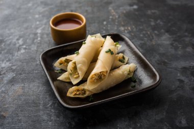 Paneer biber puro herhangi bir parti için ilginç bir başlangıç olan paneer ile doldurulmuş gevrek rulo vardır. domates ketçap ile servis edilir. seçici odaklama