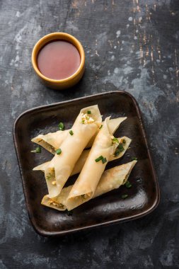 Paneer biber puro herhangi bir parti için ilginç bir başlangıç olan paneer ile doldurulmuş gevrek rulo vardır. domates ketçap ile servis edilir. seçici odaklama