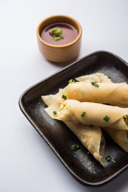 Paneer biber puro herhangi bir parti için ilginç bir başlangıç olan paneer ile doldurulmuş gevrek rulo vardır. domates ketçap ile servis edilir. seçici odaklama