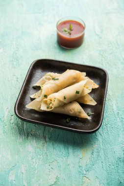 Paneer biber puro herhangi bir parti için ilginç bir başlangıç olan paneer ile doldurulmuş gevrek rulo vardır. domates ketçap ile servis edilir. seçici odaklama