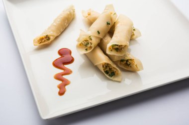 Paneer biber puro herhangi bir parti için ilginç bir başlangıç olan paneer ile doldurulmuş gevrek rulo vardır. domates ketçap ile servis edilir. seçici odaklama