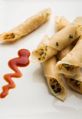 Paneer biber puro herhangi bir parti için ilginç bir başlangıç olan paneer ile doldurulmuş gevrek rulo vardır. domates ketçap ile servis edilir. seçici odaklama