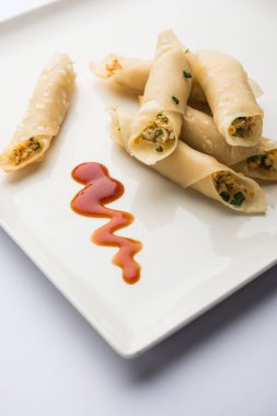 Paneer biber puro herhangi bir parti için ilginç bir başlangıç olan paneer ile doldurulmuş gevrek rulo vardır. domates ketçap ile servis edilir. seçici odaklama