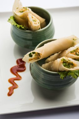 Paneer biber puro herhangi bir parti için ilginç bir başlangıç olan paneer ile doldurulmuş gevrek rulo vardır. domates ketçap ile servis edilir. seçici odaklama