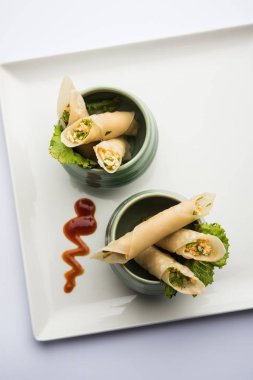 Paneer biber puro herhangi bir parti için ilginç bir başlangıç olan paneer ile doldurulmuş gevrek rulo vardır. domates ketçap ile servis edilir. seçici odaklama