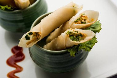 Paneer biber puro herhangi bir parti için ilginç bir başlangıç olan paneer ile doldurulmuş gevrek rulo vardır. domates ketçap ile servis edilir. seçici odaklama