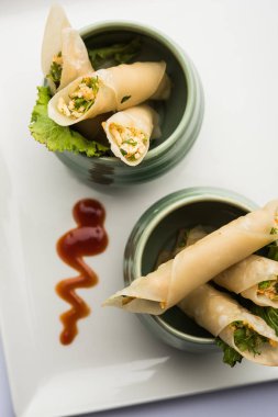 Paneer biber puro herhangi bir parti için ilginç bir başlangıç olan paneer ile doldurulmuş gevrek rulo vardır. domates ketçap ile servis edilir. seçici odaklama