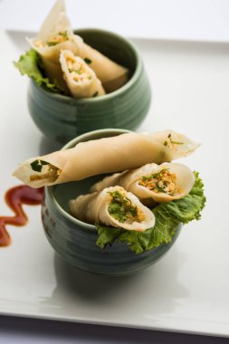 Paneer biber puro herhangi bir parti için ilginç bir başlangıç olan paneer ile doldurulmuş gevrek rulo vardır. domates ketçap ile servis edilir. seçici odaklama