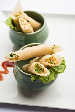 Paneer biber puro herhangi bir parti için ilginç bir başlangıç olan paneer ile doldurulmuş gevrek rulo vardır. domates ketçap ile servis edilir. seçici odaklama