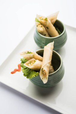 Paneer biber puro herhangi bir parti için ilginç bir başlangıç olan paneer ile doldurulmuş gevrek rulo vardır. domates ketçap ile servis edilir. seçici odaklama