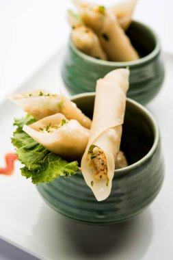 Paneer biber puro herhangi bir parti için ilginç bir başlangıç olan paneer ile doldurulmuş gevrek rulo vardır. domates ketçap ile servis edilir. seçici odaklama