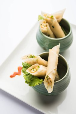 Paneer biber puro herhangi bir parti için ilginç bir başlangıç olan paneer ile doldurulmuş gevrek rulo vardır. domates ketçap ile servis edilir. seçici odaklama