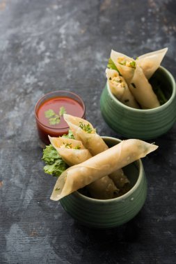 Paneer biber puro herhangi bir parti için ilginç bir başlangıç olan paneer ile doldurulmuş gevrek rulo vardır. domates ketçap ile servis edilir. seçici odaklama