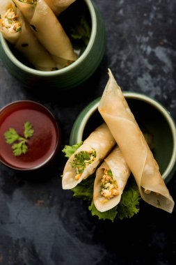 Paneer biber puro herhangi bir parti için ilginç bir başlangıç olan paneer ile doldurulmuş gevrek rulo vardır. domates ketçap ile servis edilir. seçici odaklama