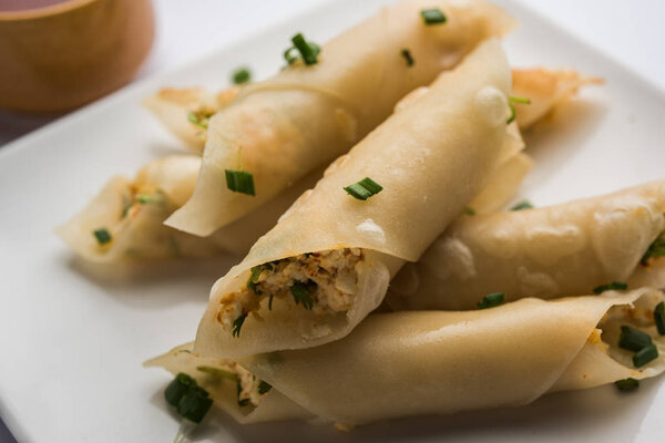 Paneer chilli cigar are crispy rolls stuffed with paneer which is an interesting starter for any party. served with tomato ketchup. selective focus