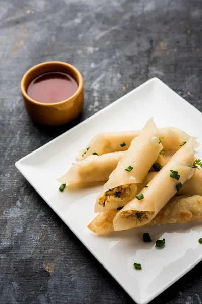 Paneer biber puro herhangi bir parti için ilginç bir başlangıç olan paneer ile doldurulmuş gevrek rulo vardır. domates ketçap ile servis edilir. seçici odaklama