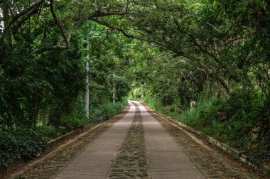 Herramientas de barra para hacer kokteyli.